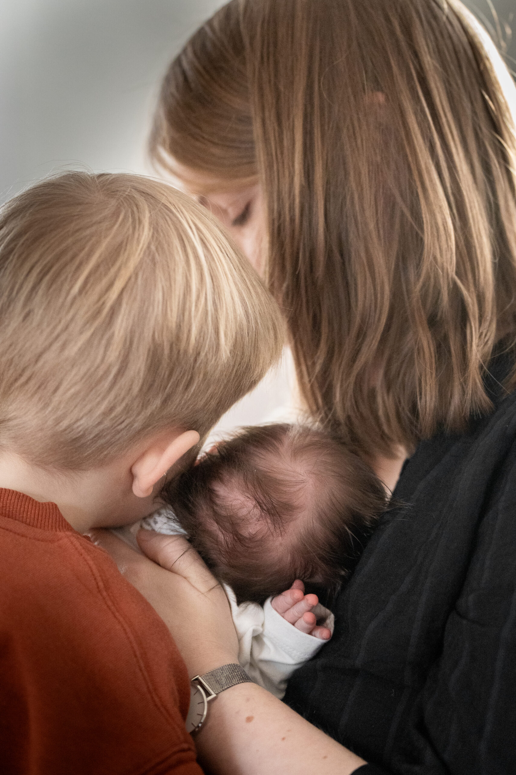 Kind betrachtet ausgestochene Kekse beim Backen