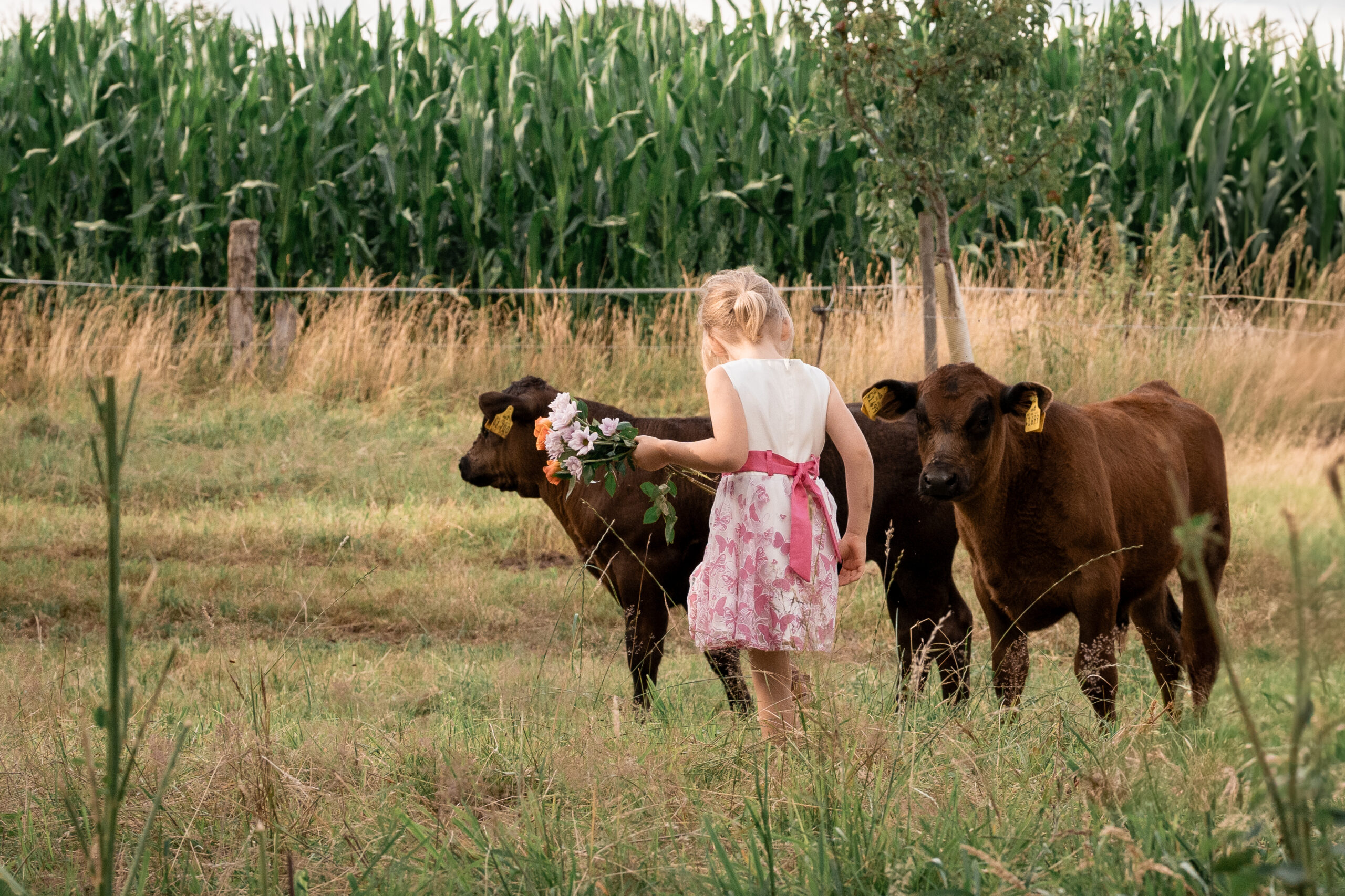 Kind probiert Teig vom Finger, authentische Kinderfotografie