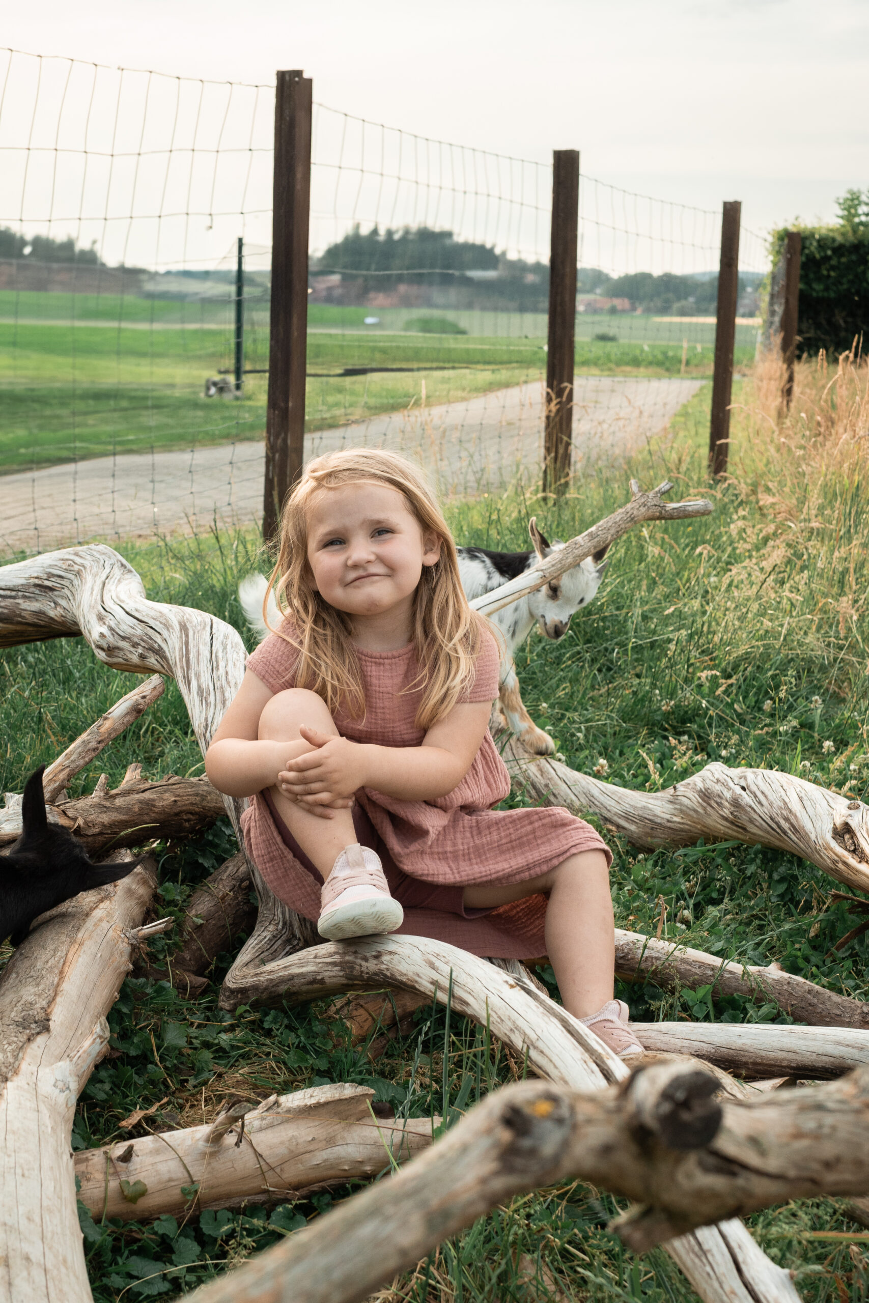 Kind betrachtet ausgestochene Kekse beim Backen