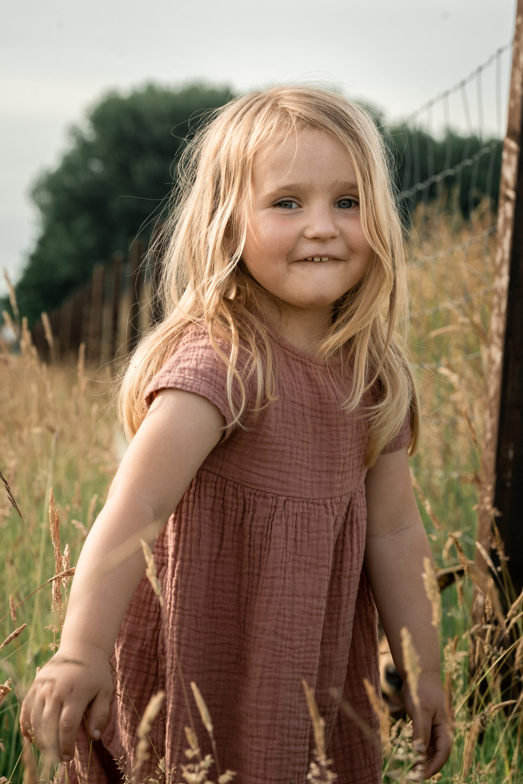 Kind betrachtet ausgestochene Kekse beim Backen