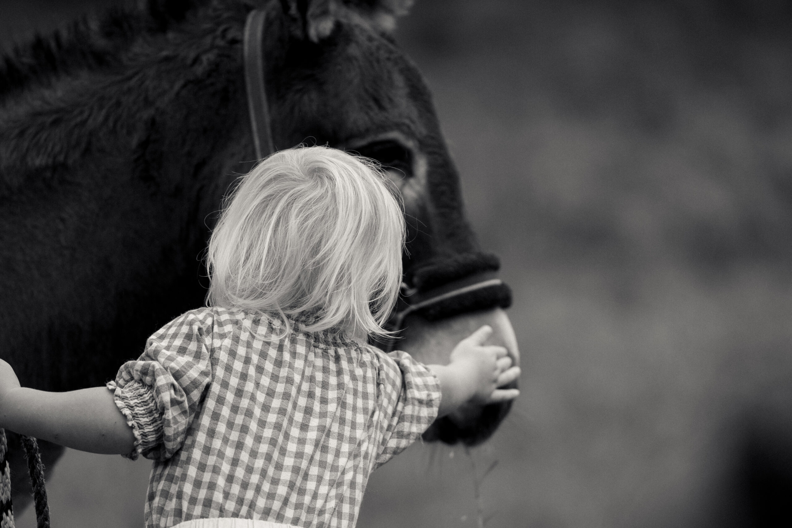 Kinderhände kneten Teig, natürliche Kinderfotografie beim Backen