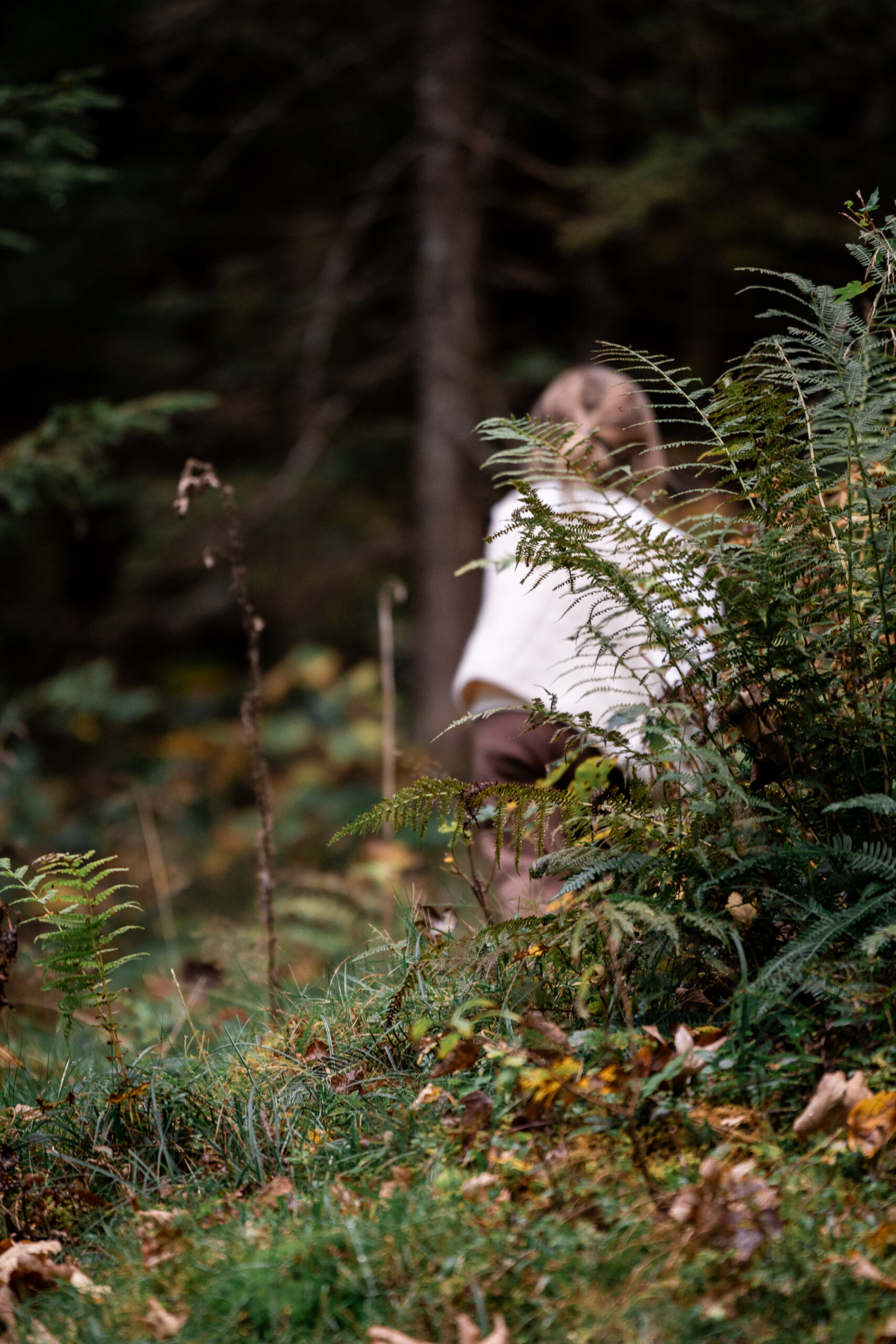 Zwei Kinder sitzen am Tisch beim Plätzchenbacken, liebevolle Kinderfotografie