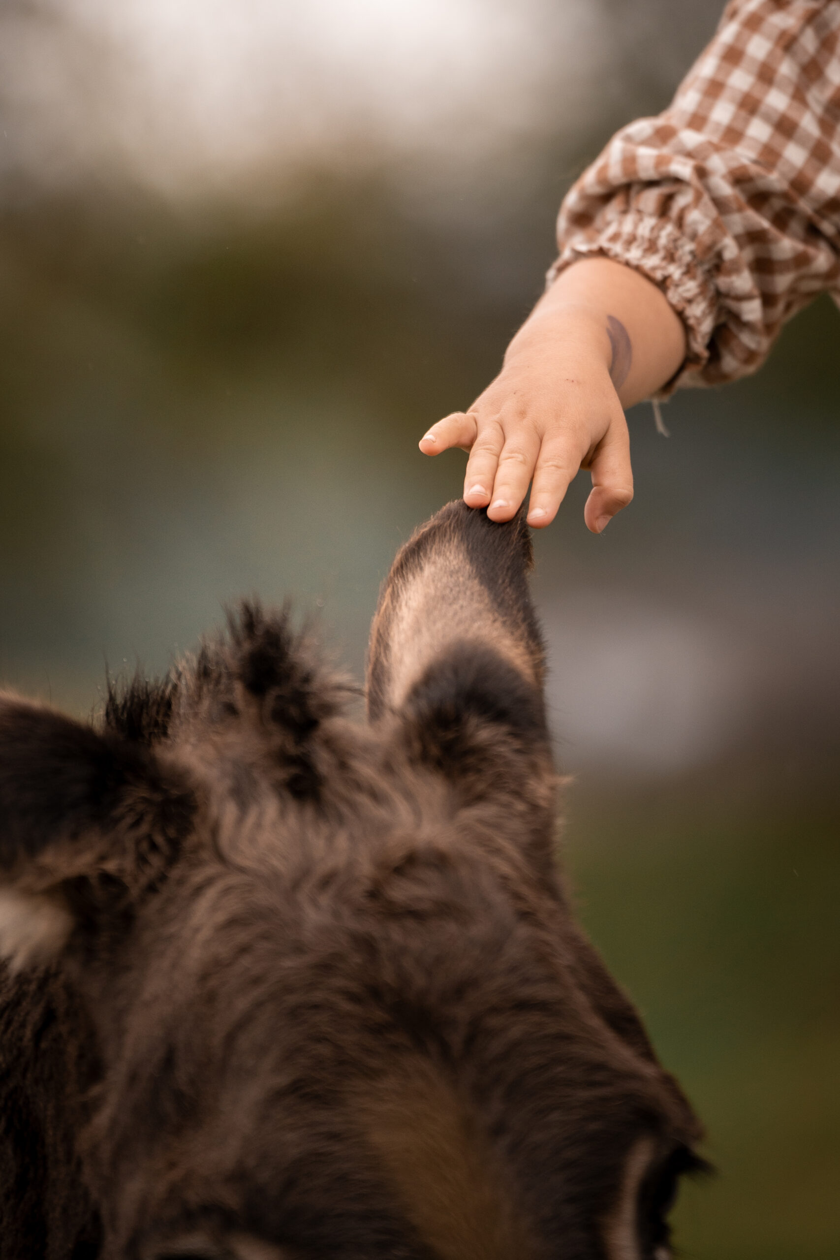 Zwei Kinder sitzen am Tisch beim Plätzchenbacken, liebevolle Kinderfotografie